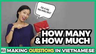 How many - How much in Vietnamese